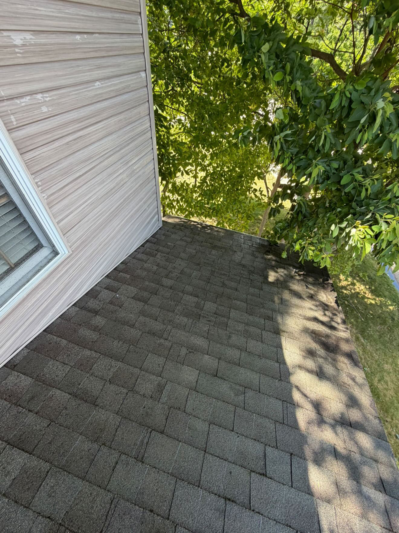 Clean roof after soft wash treatment