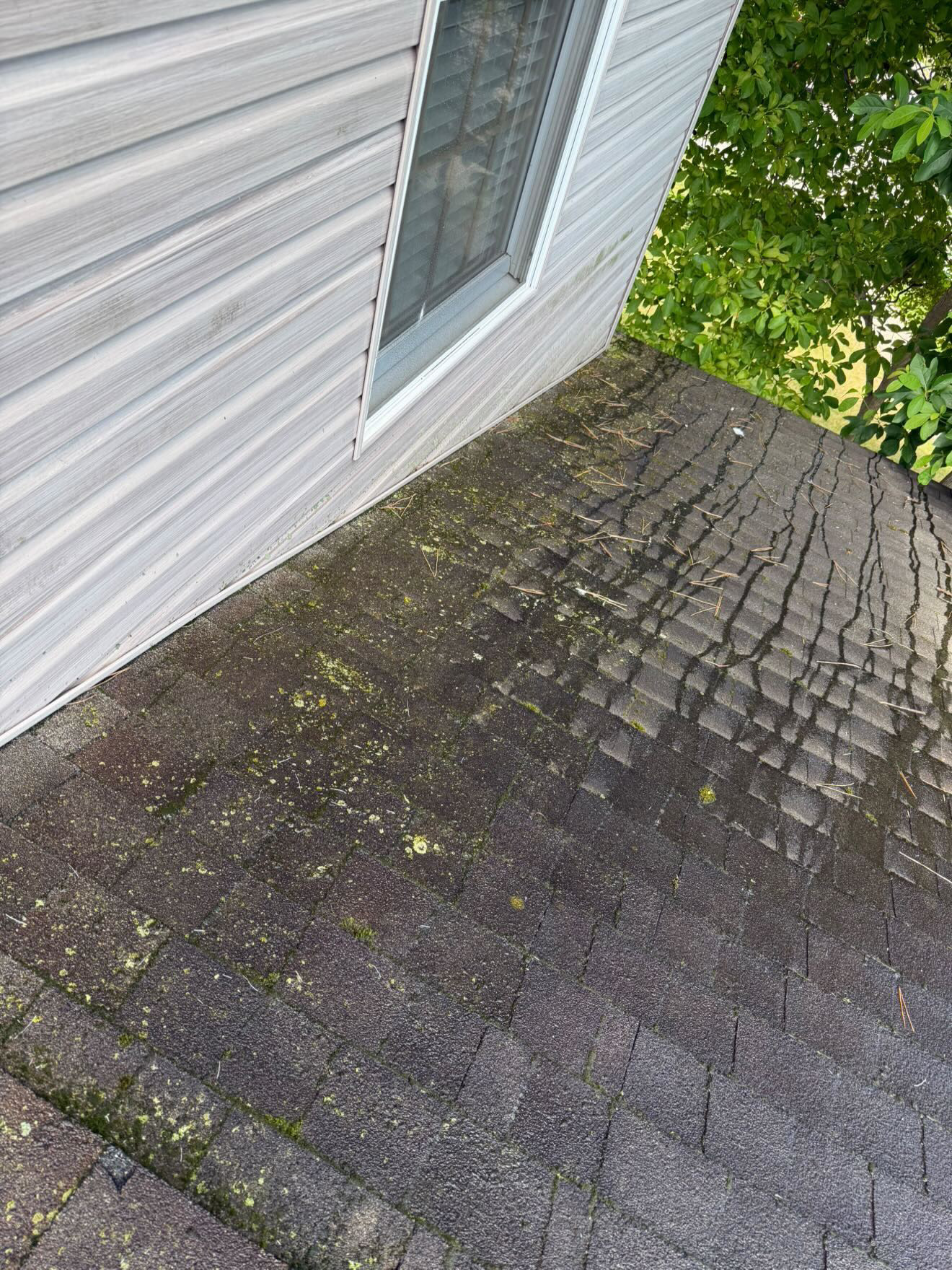 Dirty roof with black streaks before washing
