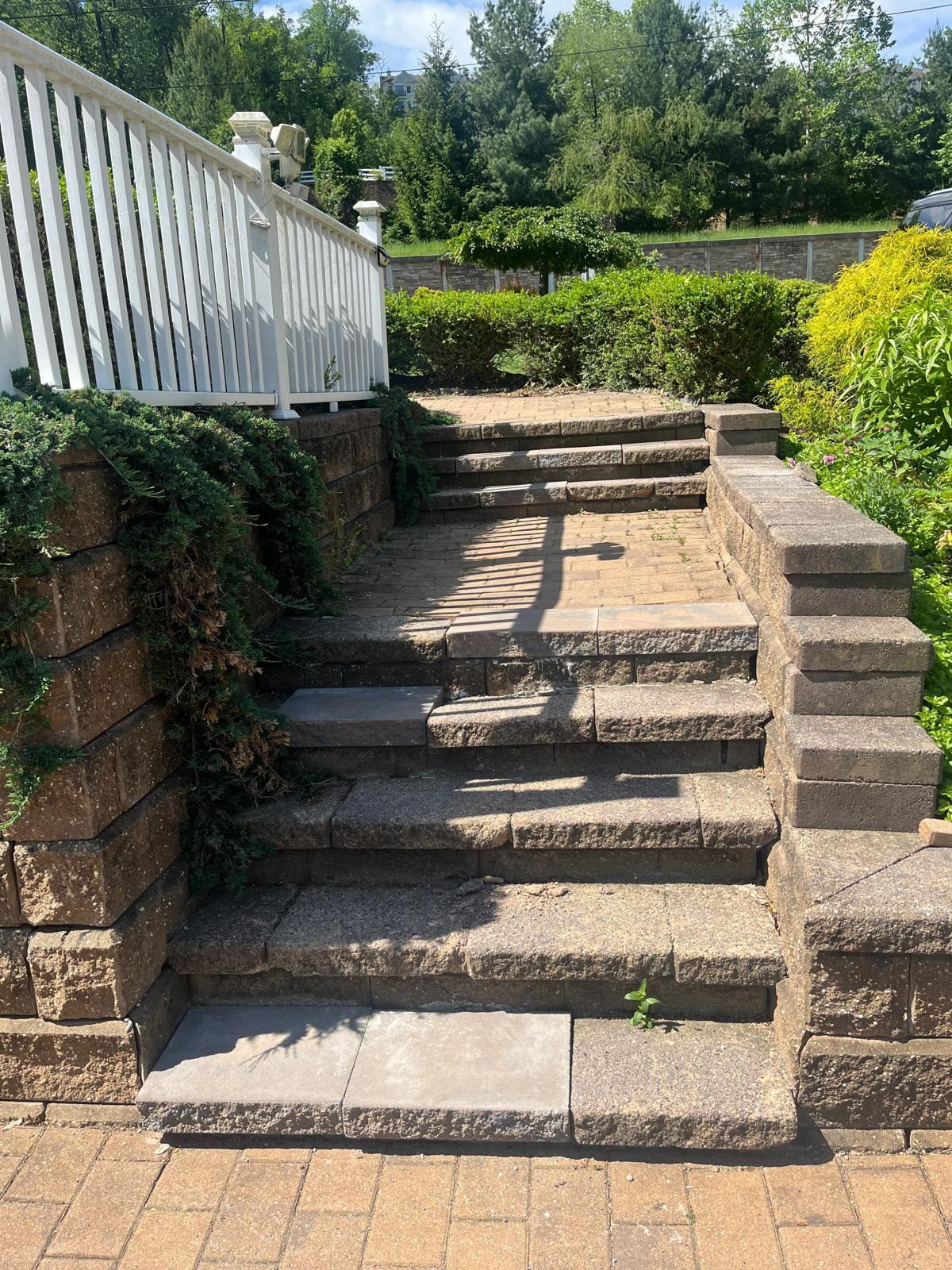 Grimy sidewalk before pressure washing